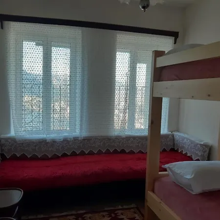 Niku Gjirokastër